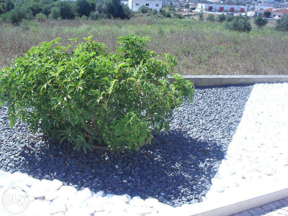 Pedras para jardim, seixos rolados