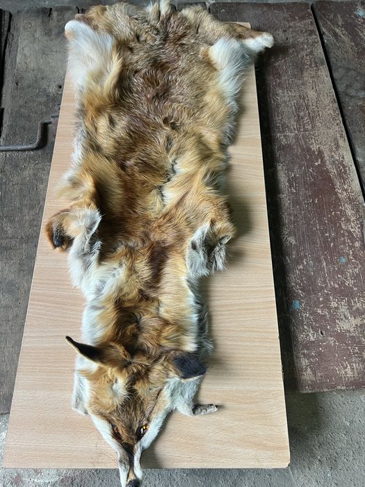 Хутро лисиці