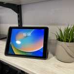 iPad 5gen 32gb Wifi