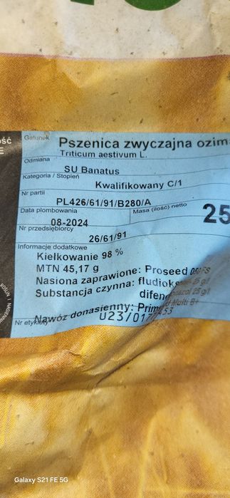 Pszenica ozima BANATUS, pierwszy rok po centrali