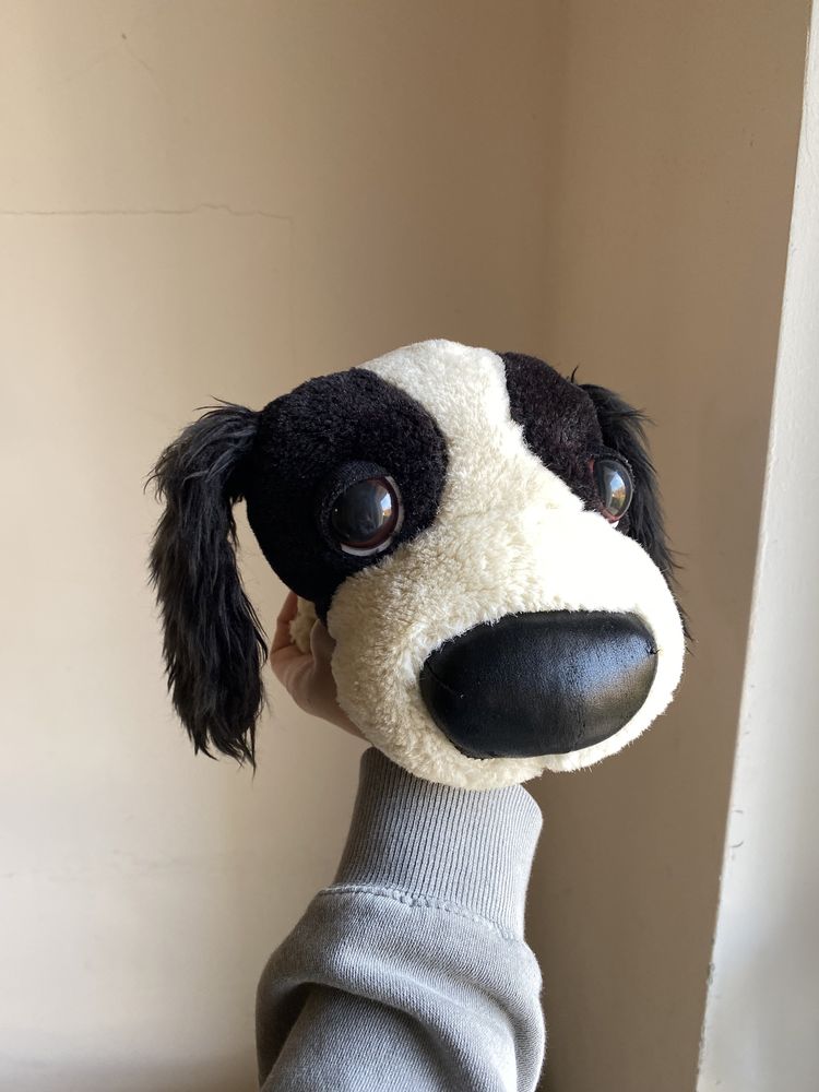 The dog, pies, maskotka, cocker spaniel