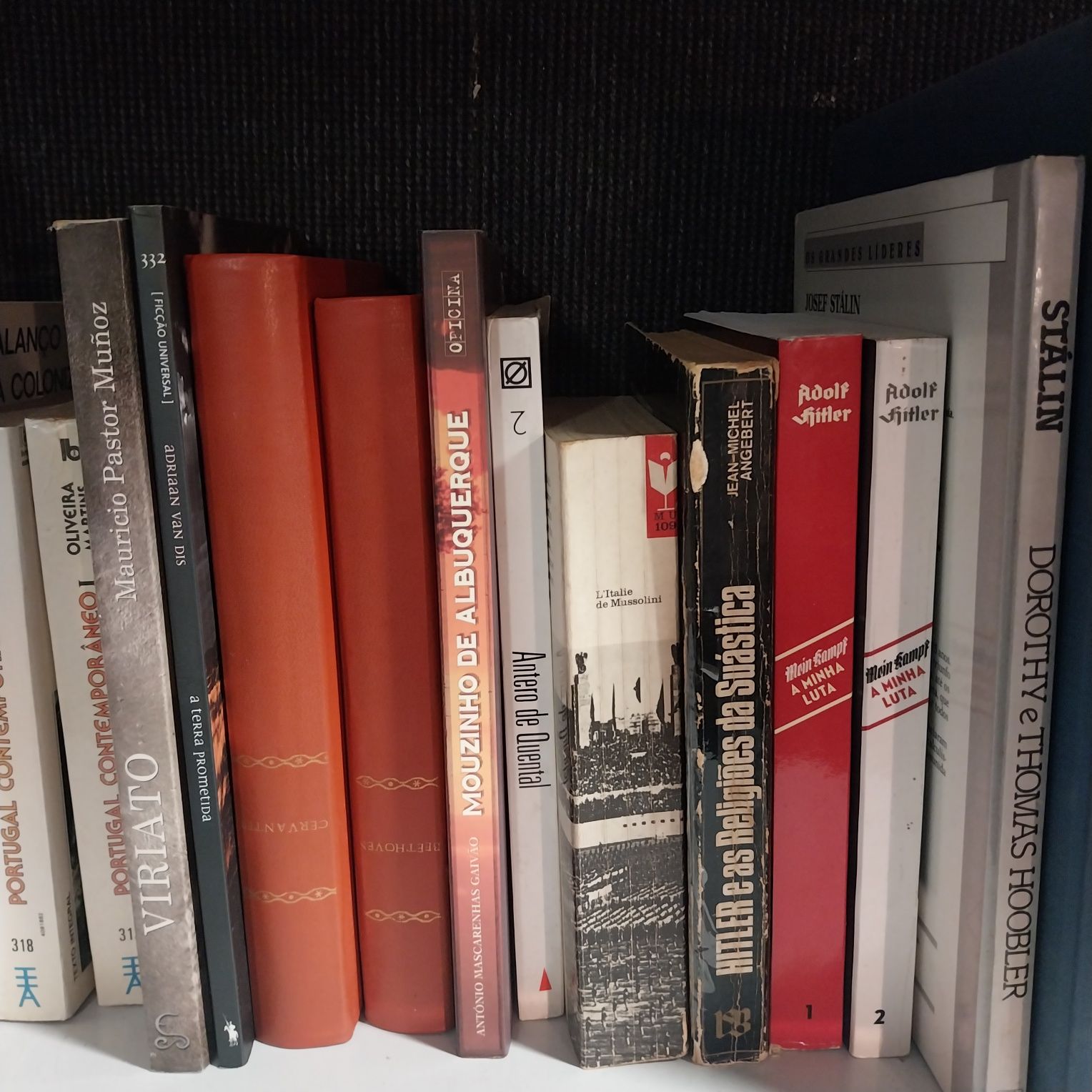 Biblioteca com 215 títulos