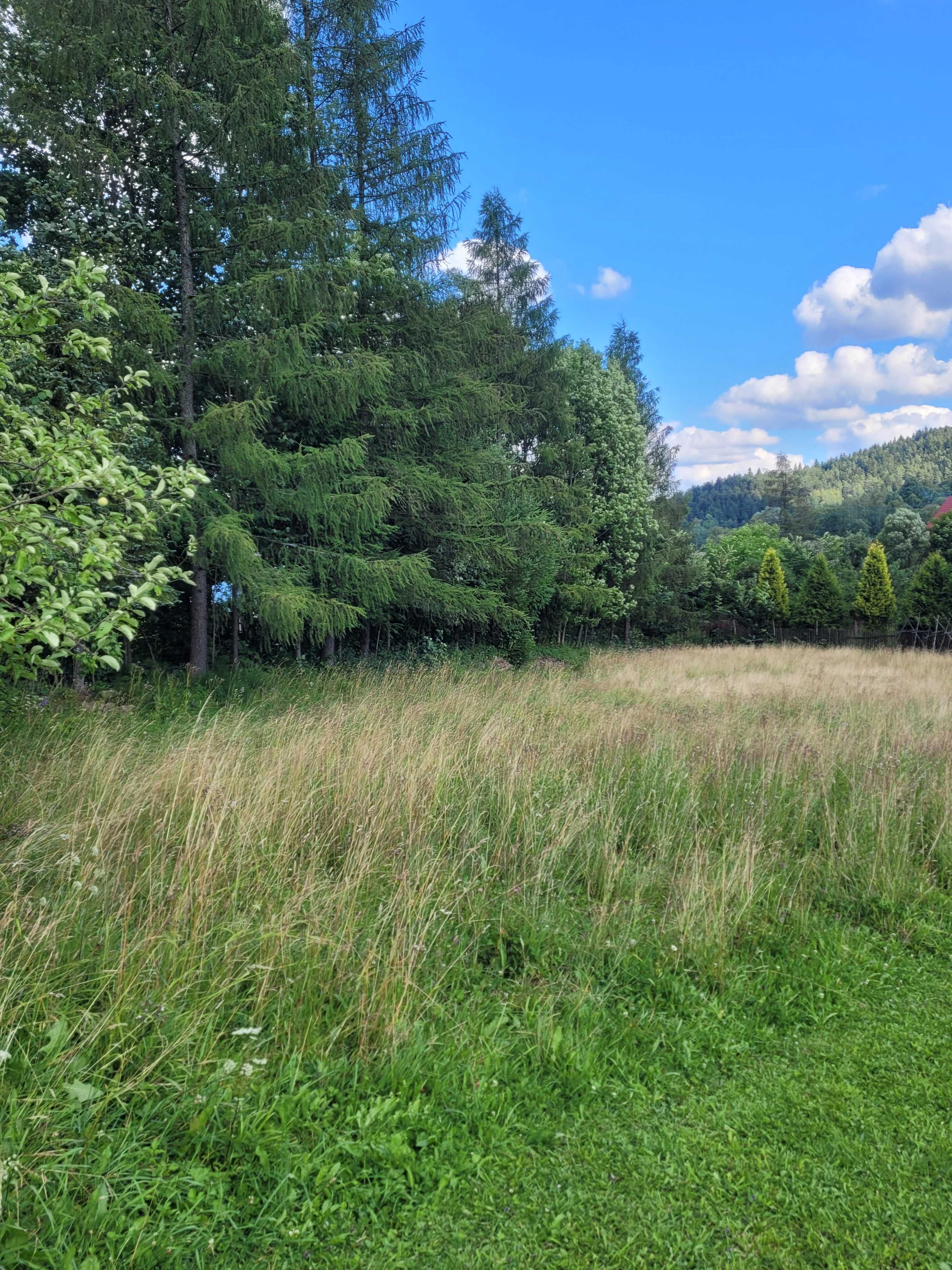 Sprzedam piękną budowlaną, inwestycyjną.