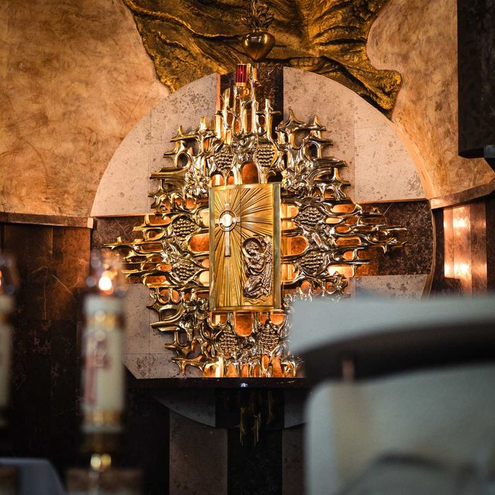 Fotograf na KOMUNIĘ ŚWIĘTĄ,  ŚLUB - cały Śląsk