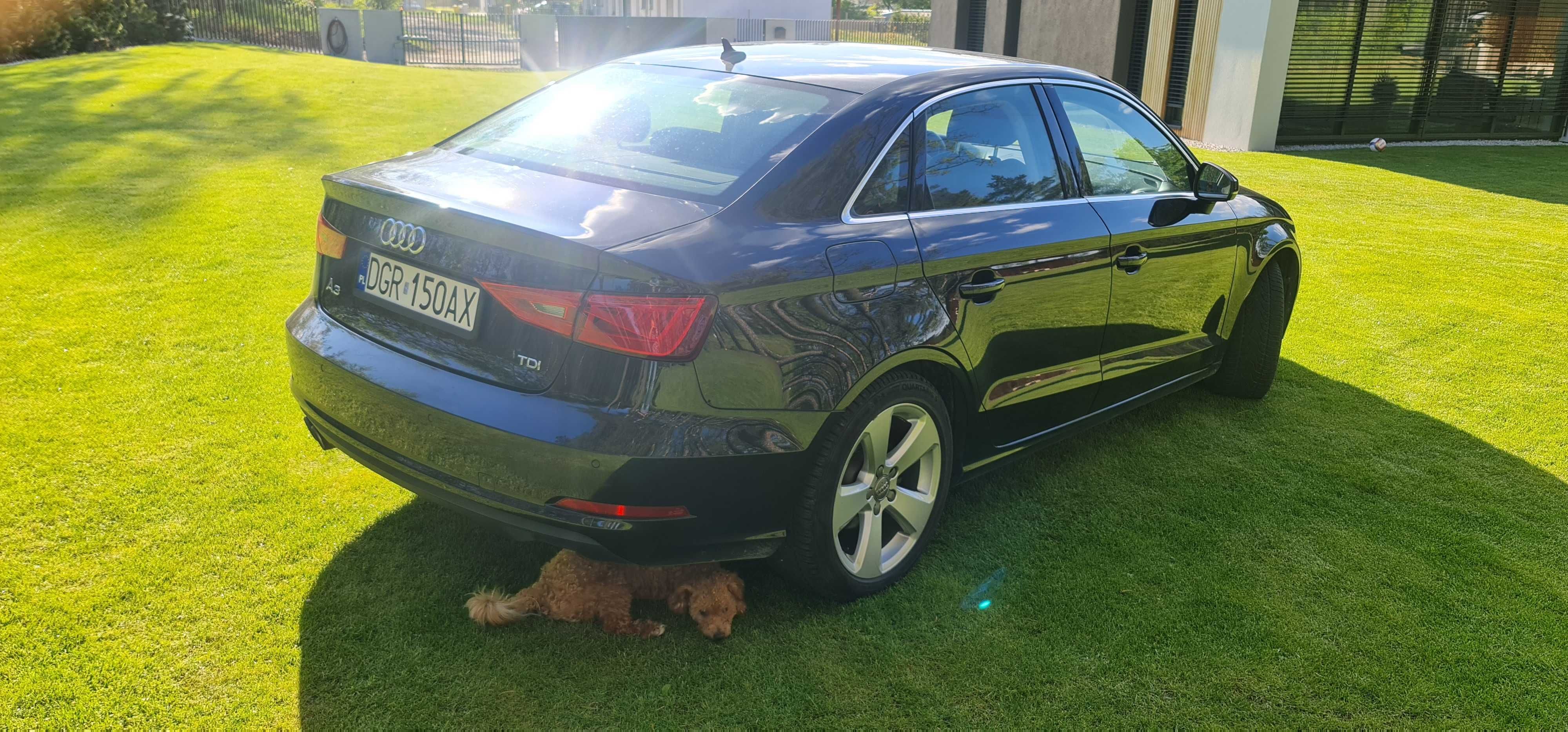Audi A3 Limuzyna,  ładna, zadbana