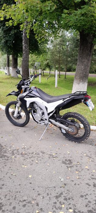 Продаєця Лось 300