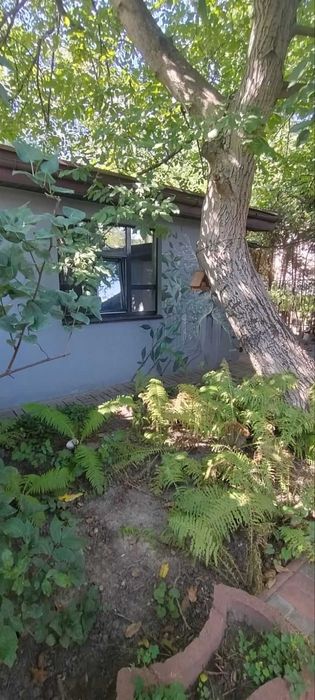 Сдам чудов будинок із резервним живленням,м. Шулявська/Берестейська