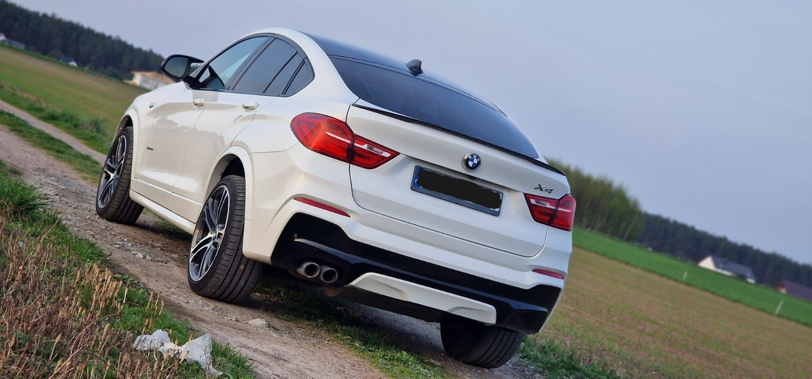 BMW X4 F26 2.0 226km  2017r Zarejestrowany