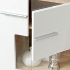 Mebloscianka pokojowa