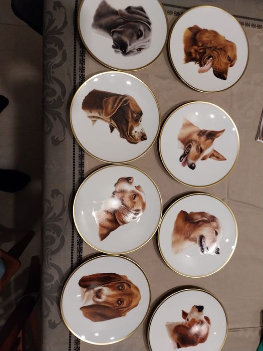 Pratos de coleção (conjunto de 8)