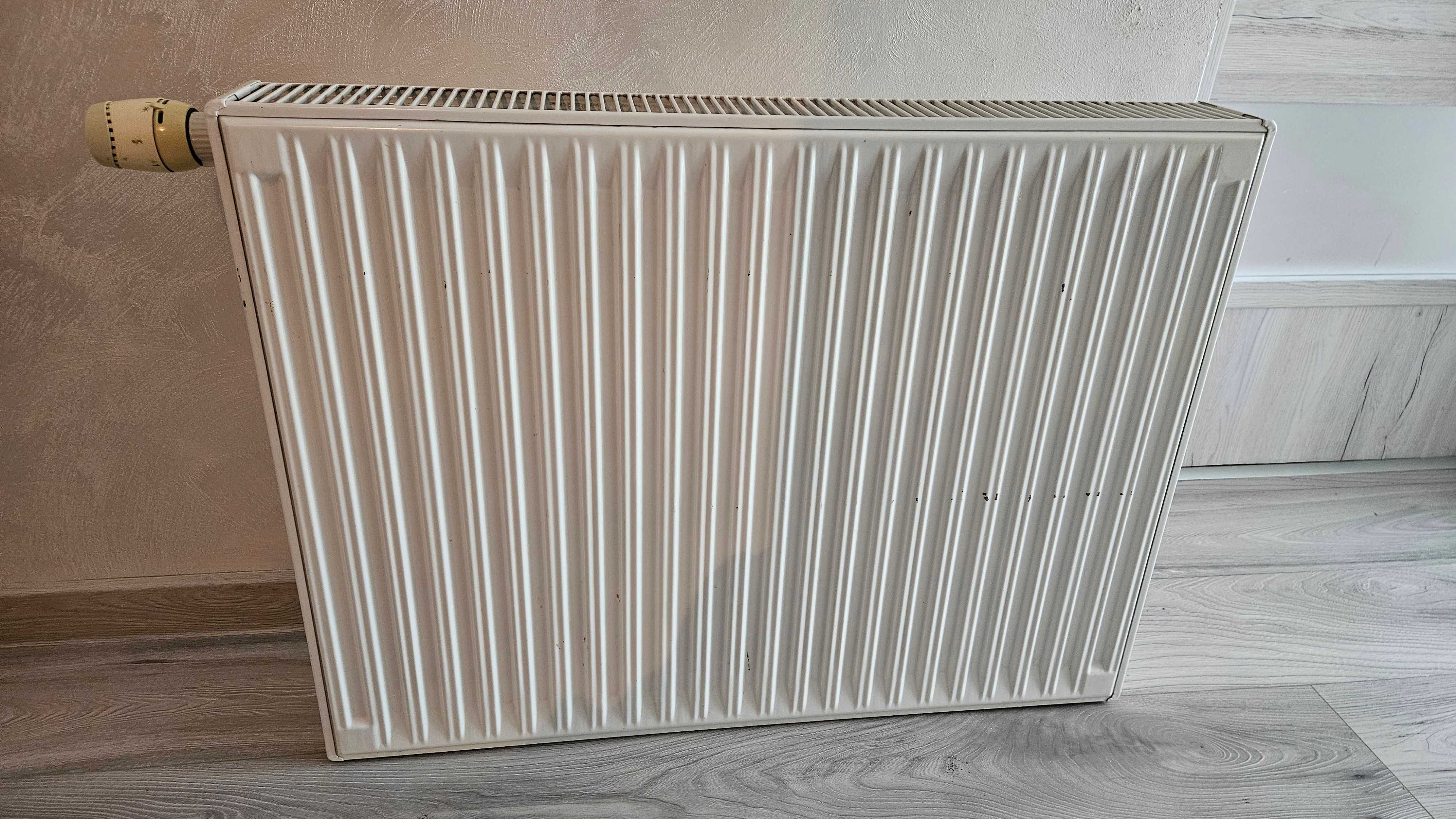 grzejnik Delonghi 800 x600