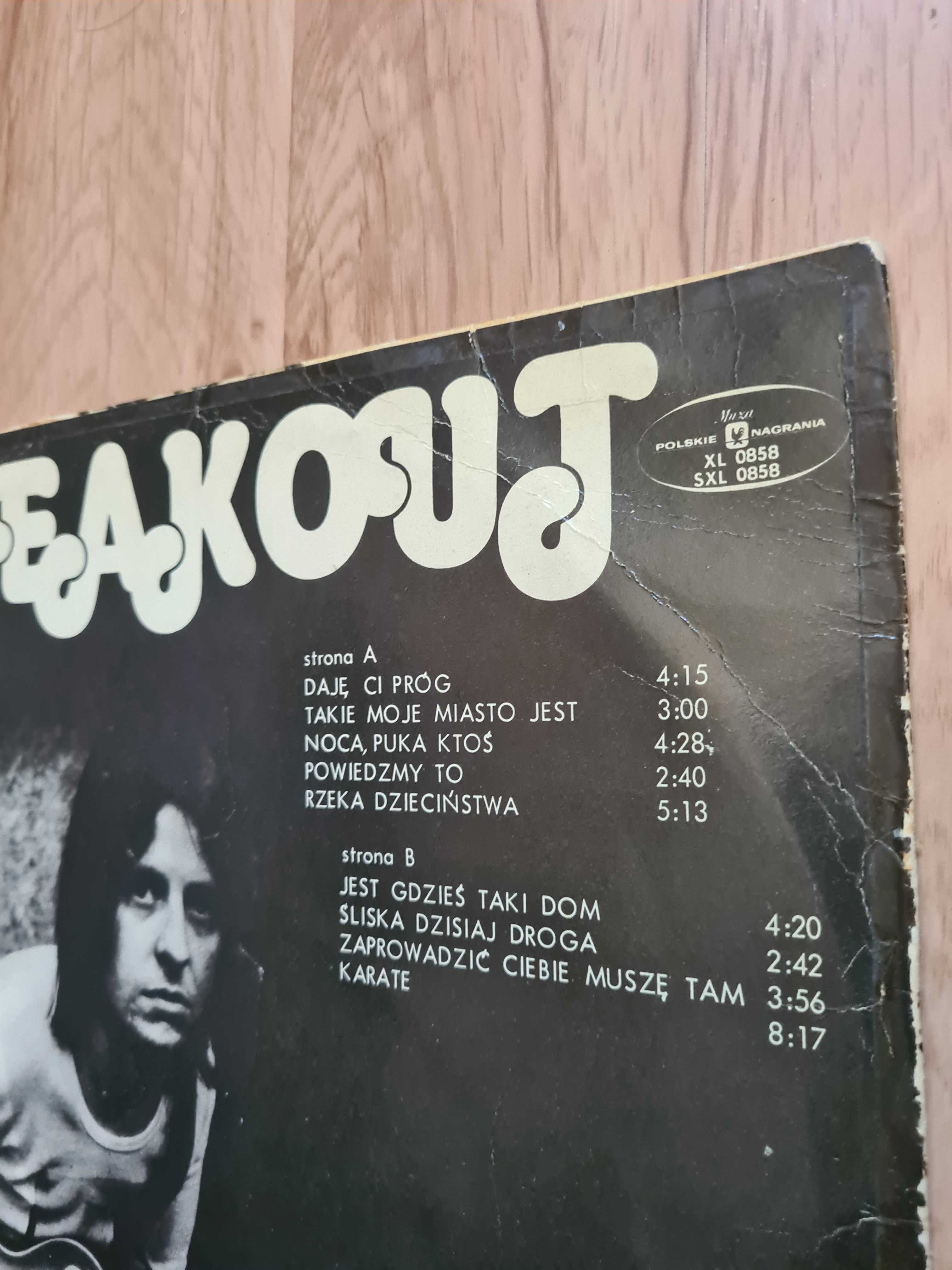 Breakout Karate 1972 LP Winyl unikat