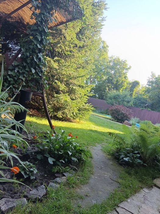 Будинок/коттедж/дім в Києві, мангал, альтанка