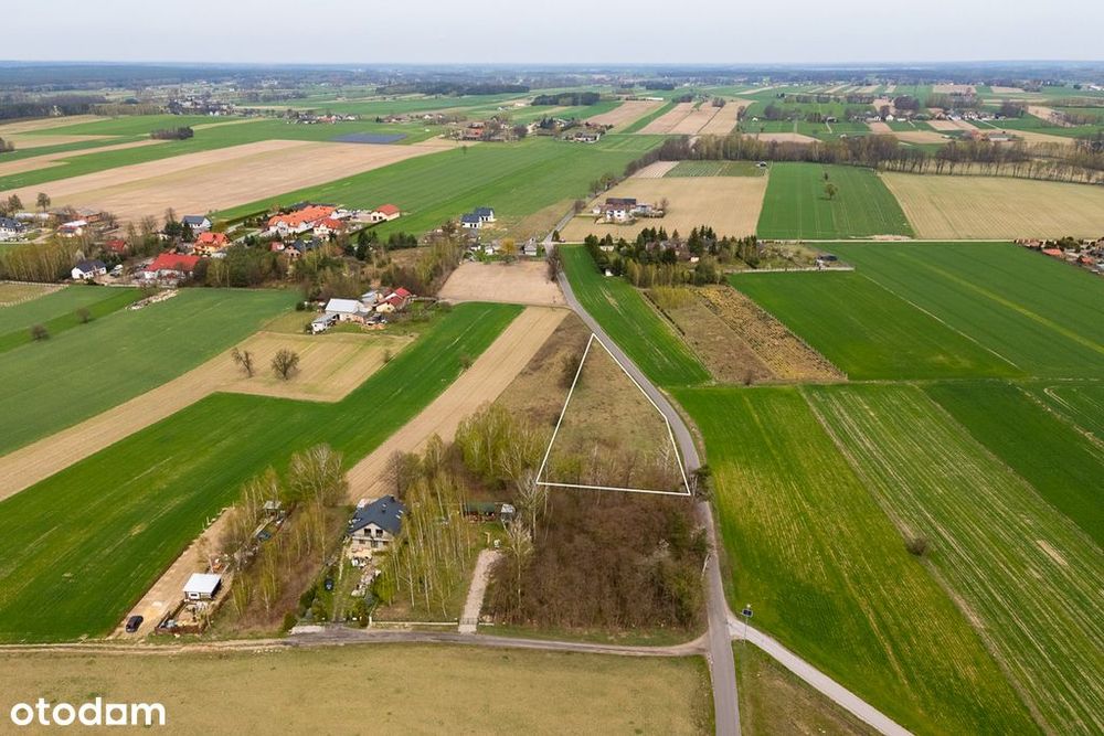 Działka na sprzedaż 3900 m2 - Syberia gm. Brzeziny