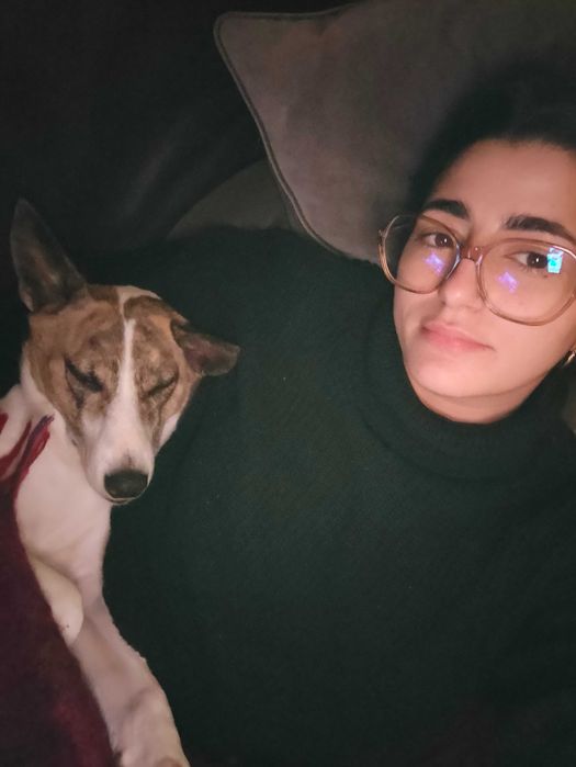 Pet-Boarding. Estadia familiar. Perssitting supervisão todo o dia