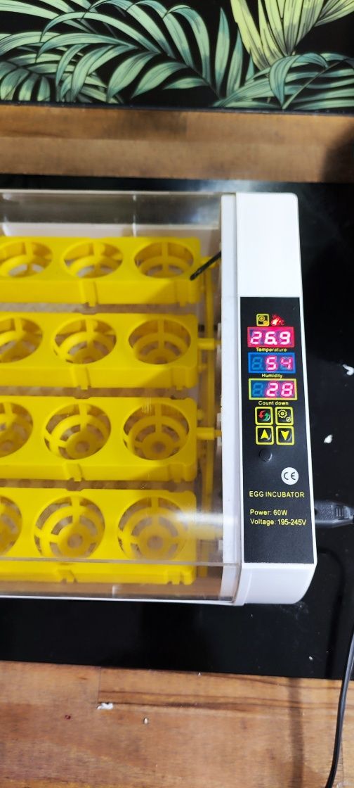Inkubator na 24jajka automatyczny