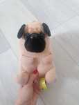 Misiu piesek mops