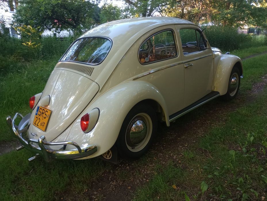 VW Garbus na wynajem. Ślub, studniówka,  sesja