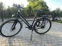 Rower Gazelle Ultimate