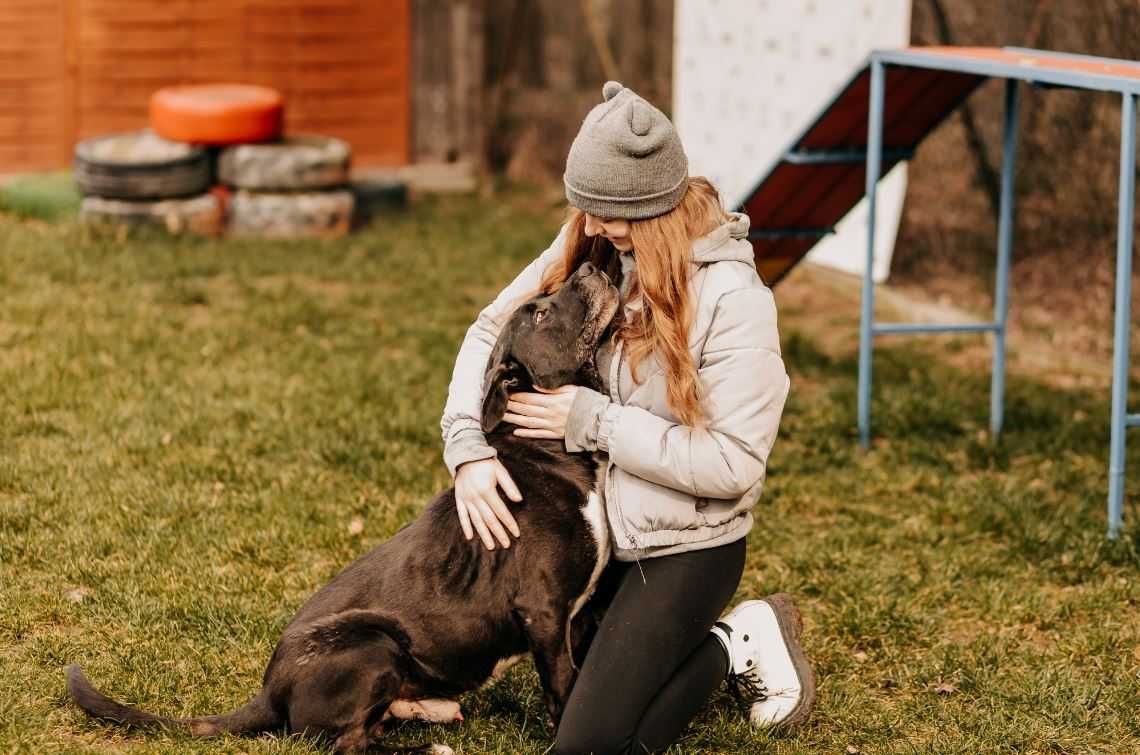 Jestem czarny, jestem duży... Nikt mnie nie adoptuje...