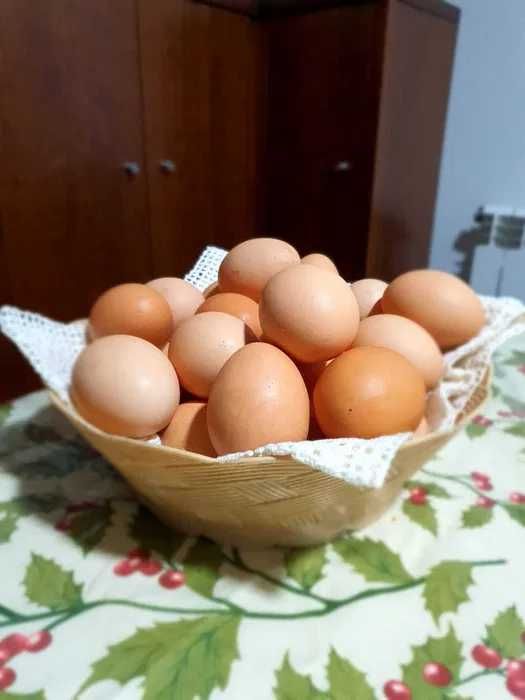 Ovos caseiros com a melhor qualidade (Dúzia).