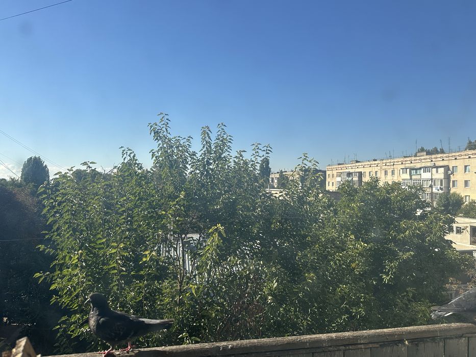 2 квартира Великодолинське