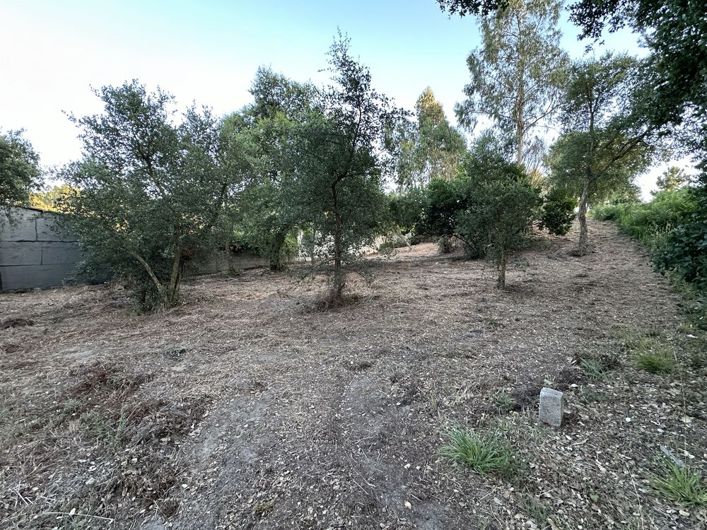 Terreno Urbanizável em Picassinos, Marinha Grande - Excelente Invest.