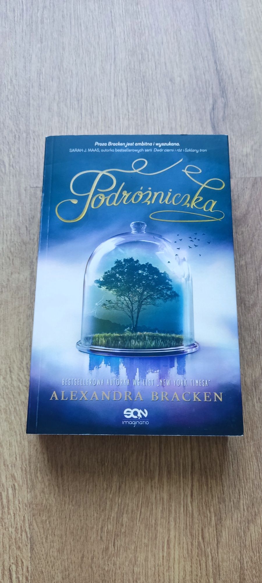 Podróżniczka książka Alexandra Bracken