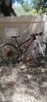 Focus Raven 29 carbono