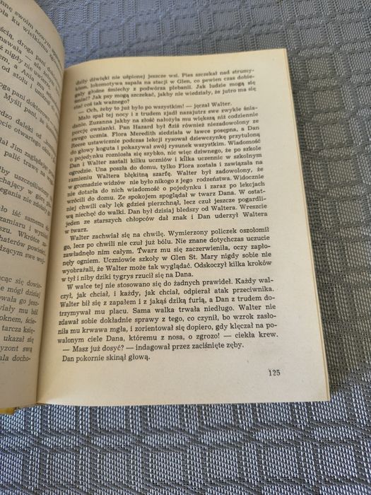 302. Książka dolina tęczy  rilla z złotego brzegu