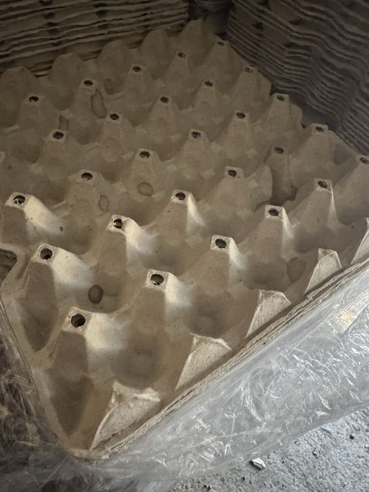 Wytlaczanki na jaja 30