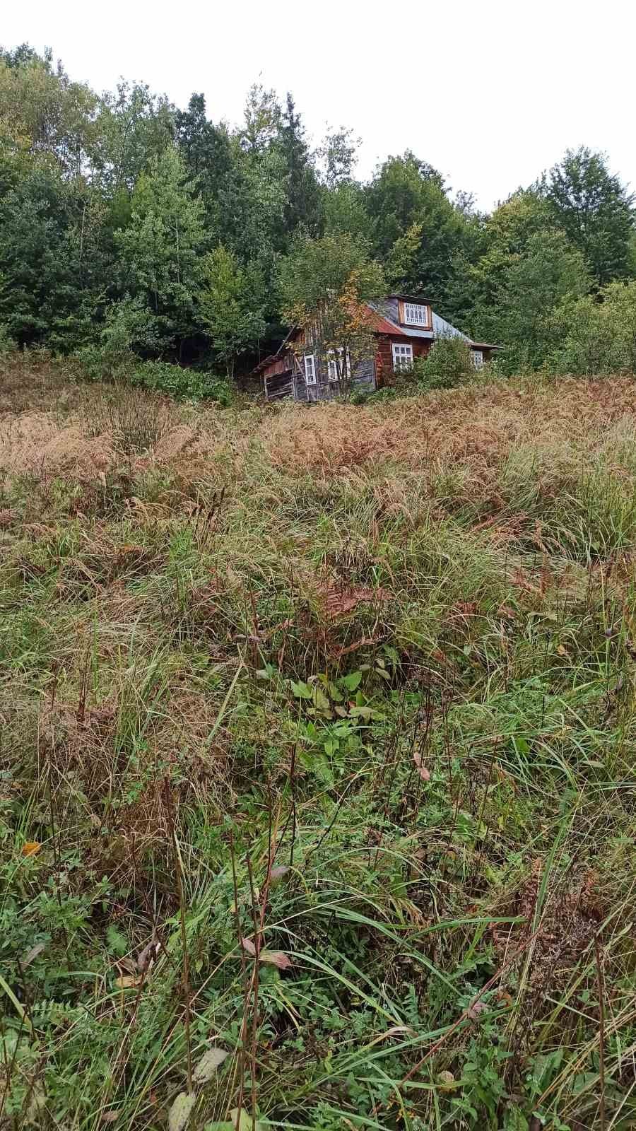 Приватизована земельна ділянка