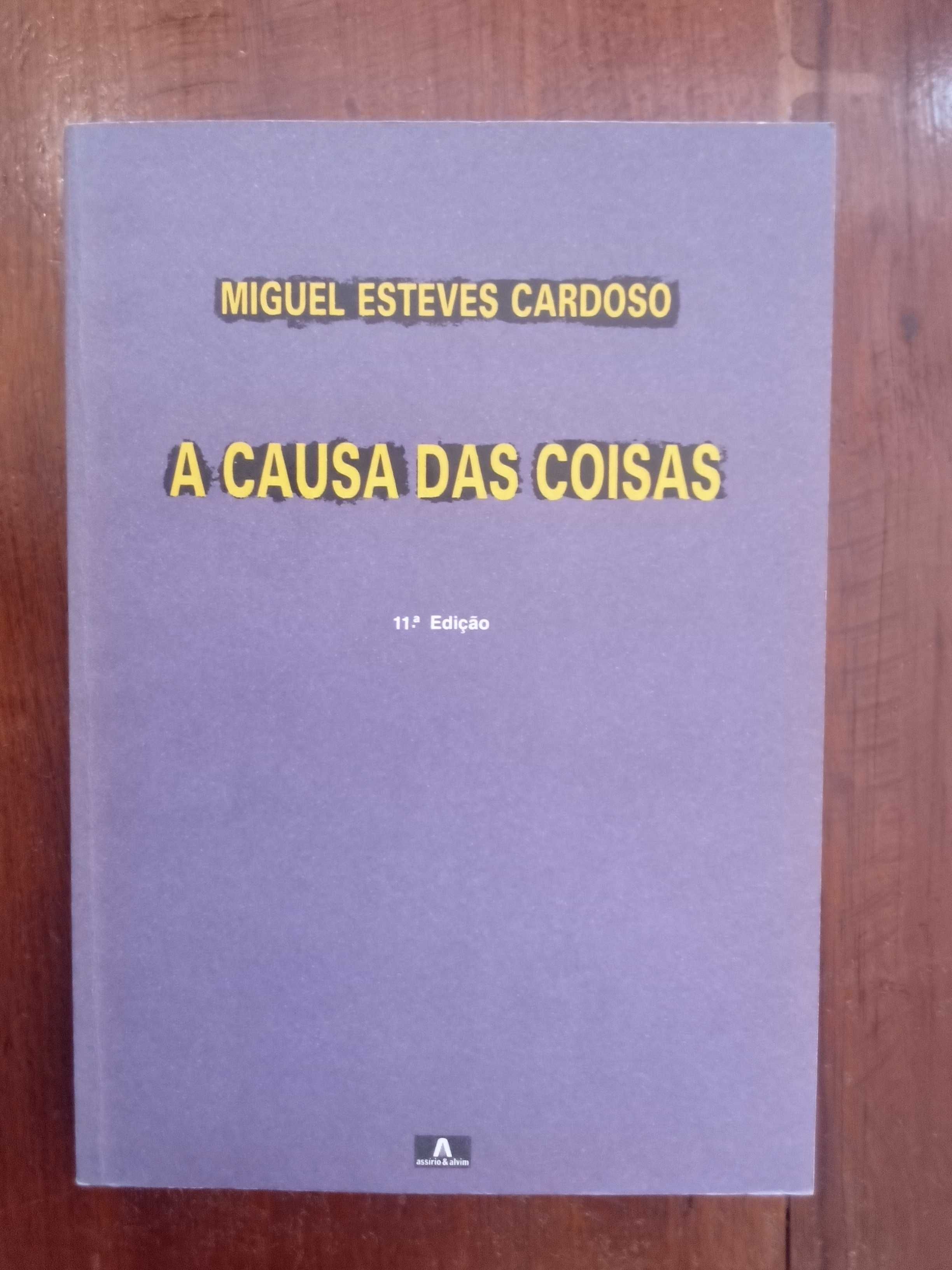 Miguel Esteves Cardoso - A causa das coisas