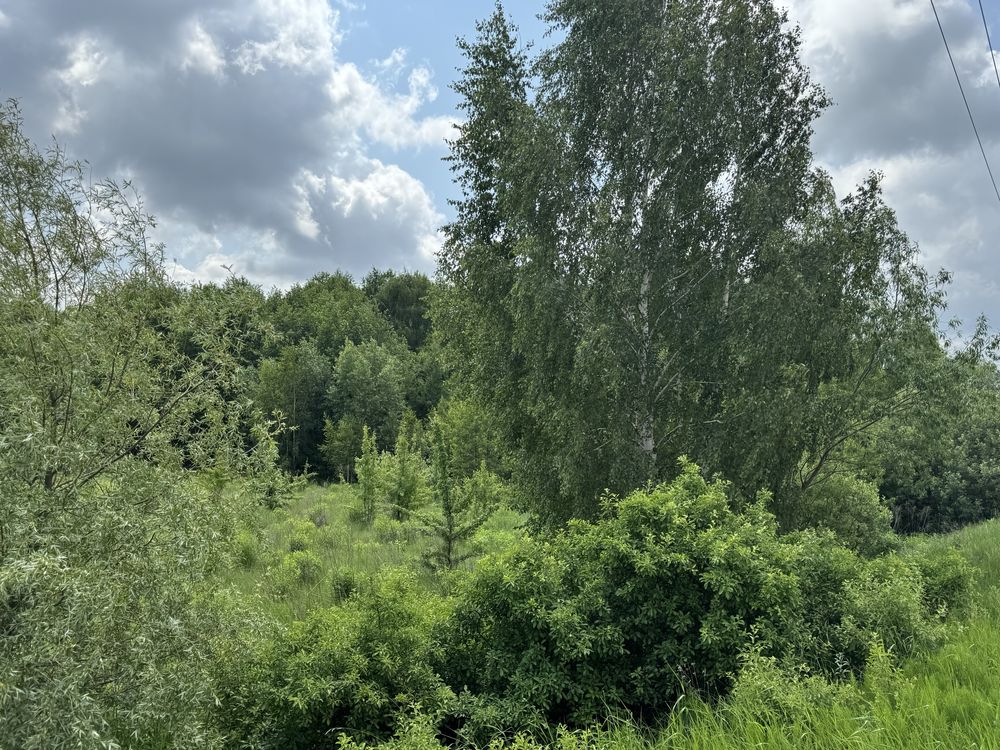 Земельна ділянка 25га.Терміново!Фасова. 35$/сотка!