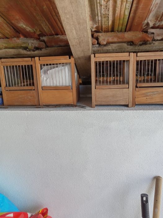 Gaiolas para pássaros