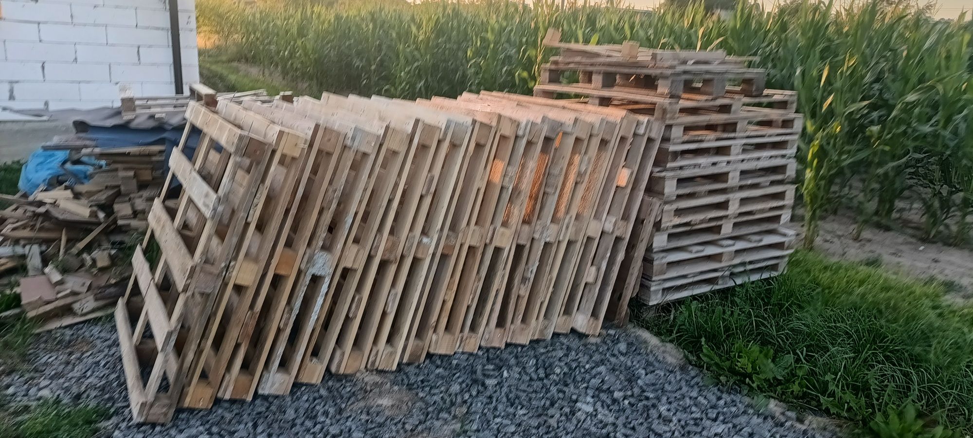 Продам піддони б/у.