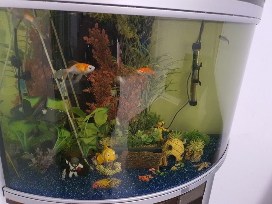 Aquario Aquatlantis 220L completo