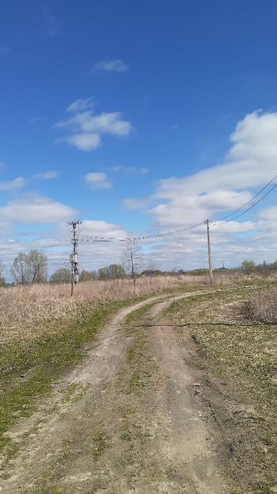 Продам ділянку в с. Требухів вул.Богдана Хмельницького 63