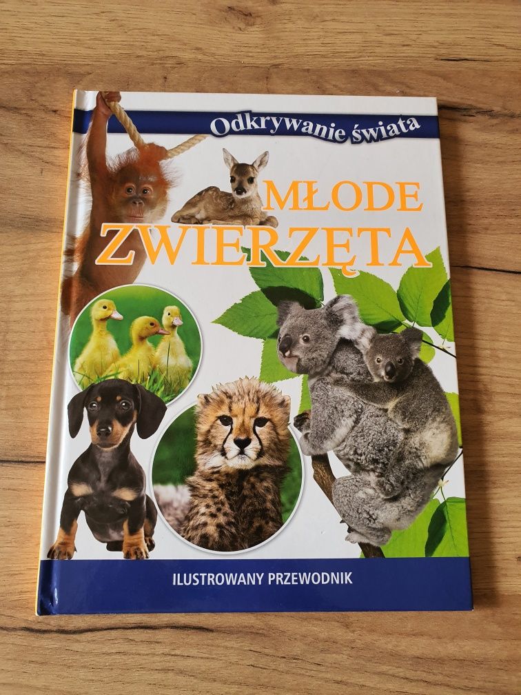 Ilustrowany przewodnik Młode zwierzęta Książka dla dzieci