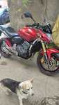 Motocykl Honda hornet pc 41 A2