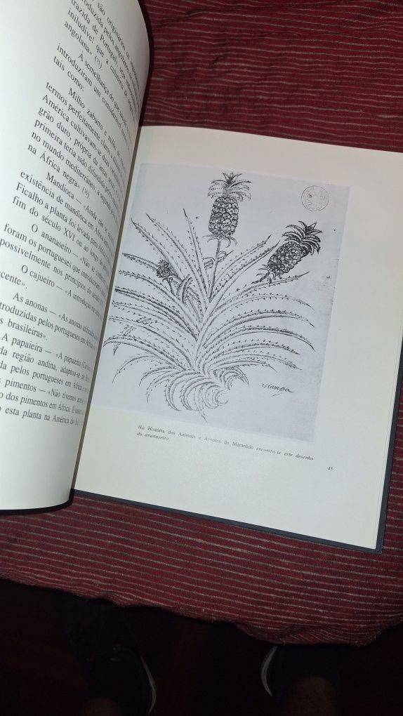 A expansão portuguesa e a culinária Fernando Castelo-Branco