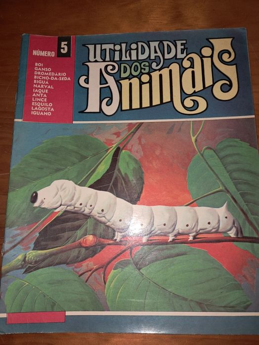 Conjunto de livros Educativos antigos