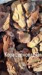 Кора Соснова,Магнолії,Ялинки, Сосни, Ялівці,Туї, Хебе, Клени, Піхти.