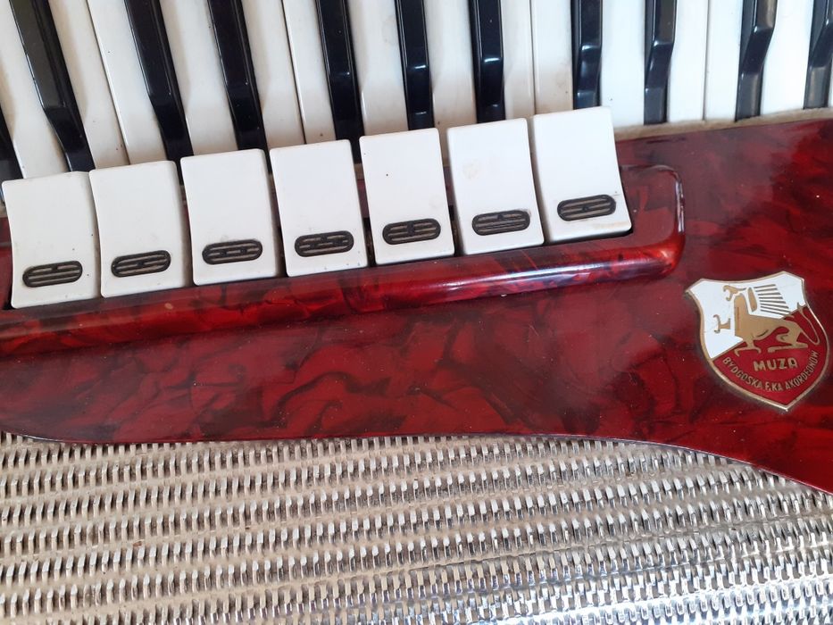 Akordeon Victoria l 80 bas