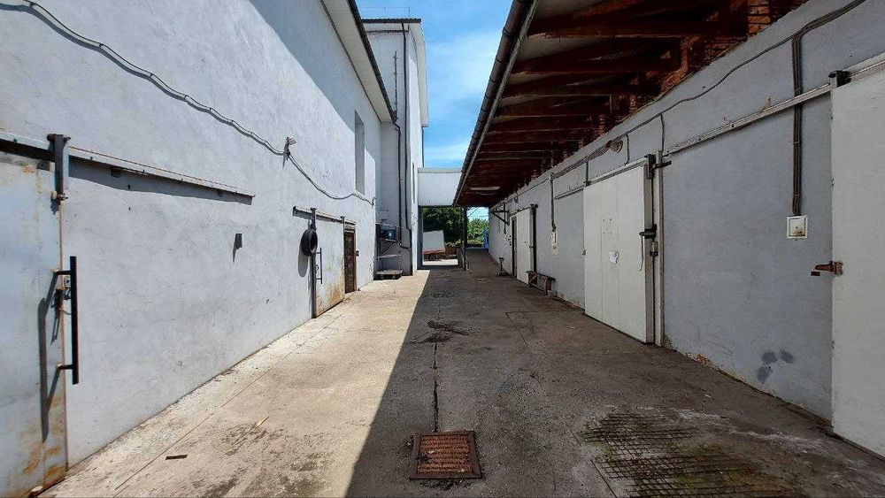 Виробничо-складський комплекс 2900 м2 з морозильними камерами 1100 м3