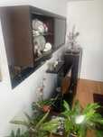 4 Moveis Moderno Vidro MDF Macico Branco/Wenge (LER DESCRICAO)