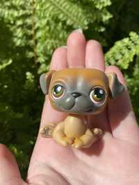 LPS Littlest pet shop piesek #2