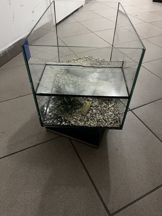 Akwarium Dla Żółwia