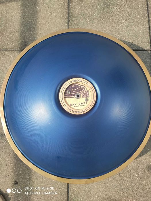 Rav Vast Electroacutic D Major,handpan ,hang drum