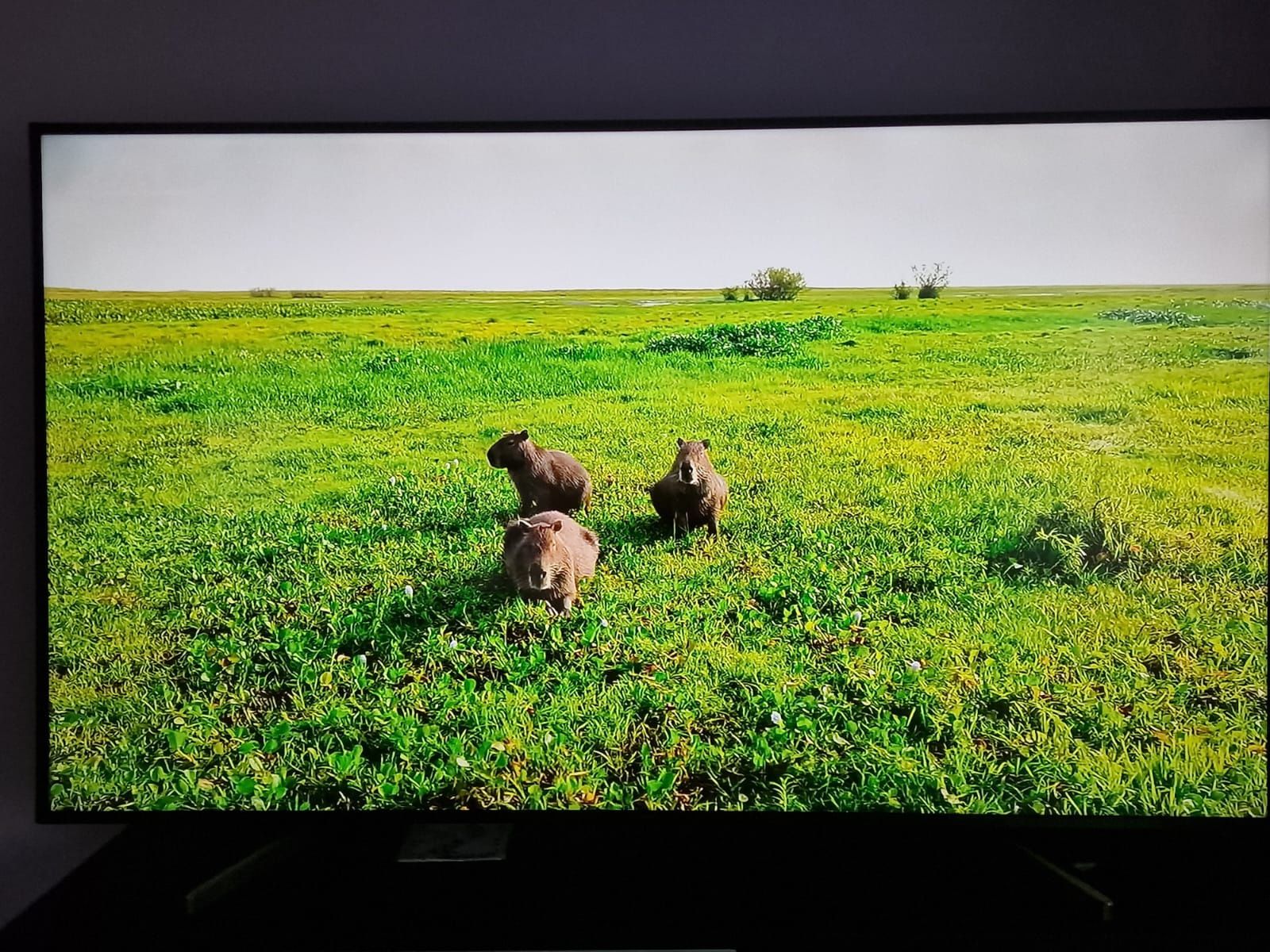Sony KD-75XG8096 75" 4K Android jak nowy
